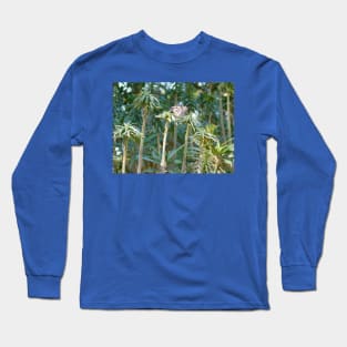 Shaded spectator Long Sleeve T-Shirt